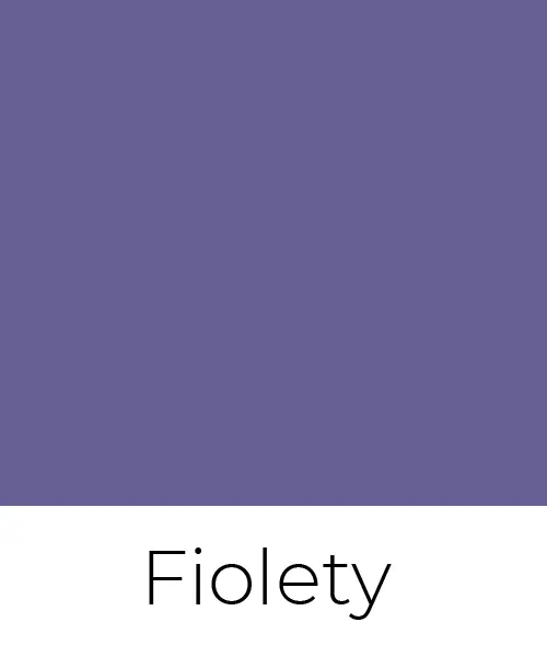 color-main-fiolety