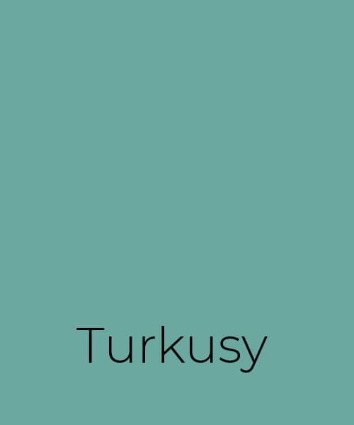 color-main-turkusy