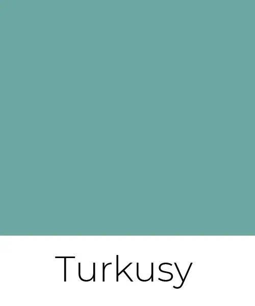 color-main-turkusy